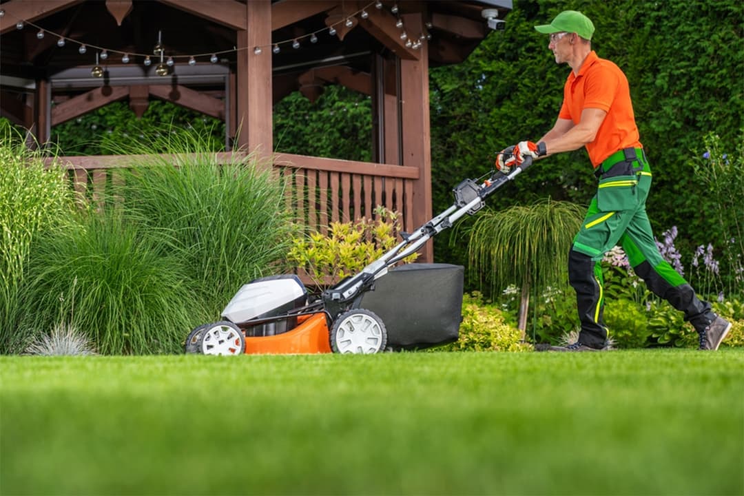 Landscaping & Lawn Care